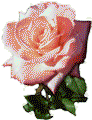 http://www.yoursmileys.ru/gsmile/flower/g10171.gif