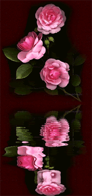 http://www.yoursmileys.ru/gsmile/flower/g10197.gif