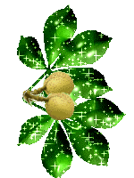 http://www.yoursmileys.ru/gsmile/plants/g2313.gif