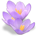 http://www.yoursmileys.ru/ismile/flowers/flower046.png