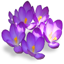 http://www.yoursmileys.ru/ismile/flowers/flower185.png
