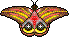 http://www.yoursmileys.ru/tsmile/butterfly/t70064.gif
