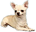 http://www.yoursmileys.ru/tsmile/dogs/t0459.gif