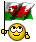 http://www.yoursmileys.ru/msmile/flag/Wales.gif