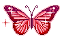 http://www.yoursmileys.ru/tsmile/butterfly/t70051.gif
